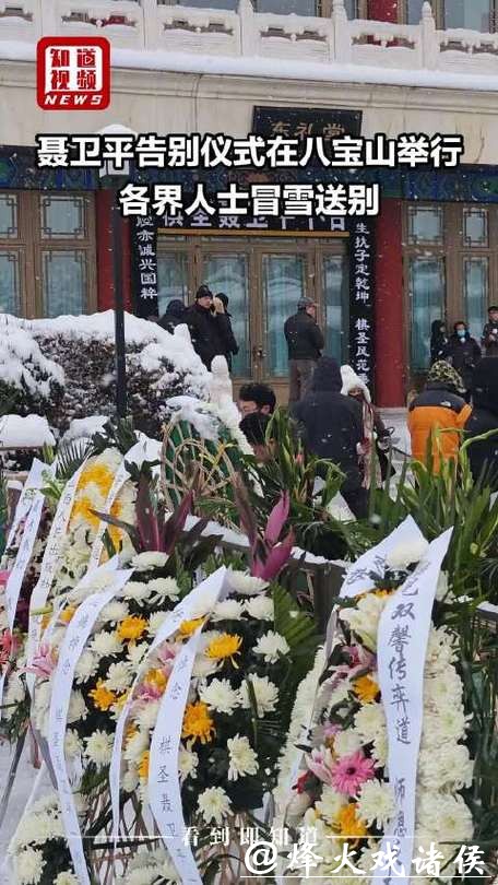 各界人士风雪中送别聂卫平 各界人士风雪中送别聂卫平